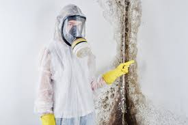 Northlakes, NC Mold Removal & Remediation Company